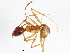  ( - BIOUG02687-E06)  @12 [ ] CreativeCommons - Attribution (2013) CBG Photography Group Centre for Biodiversity Genomics