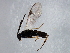  ( - 09BBEHY-1967)  @13 [ ] CreativeCommons - Attribution (2010) CBG Photography Group Centre for Biodiversity Genomics