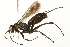  ( - 09BBEHY-1190)  @13 [ ] CreativeCommons - Attribution (2010) Unspecified Centre for Biodiversity Genomics