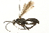  ( - 09BBEHY-1193)  @14 [ ] CreativeCommons - Attribution (2010) Unspecified Centre for Biodiversity Genomics
