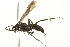  ( - 09BBEHY-1200)  @14 [ ] CreativeCommons - Attribution (2010) Unspecified Centre for Biodiversity Genomics