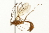  ( - 09BBEHY-1267)  @14 [ ] CreativeCommons - Attribution (2010) Unspecified Centre for Biodiversity Genomics