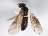  ( - 10BBHYM-1158)  @13 [ ] CreativeCommons - Attribution (2010) CBG Photography Group Centre for Biodiversity Genomics