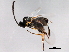 ( - 10BBHYM-1198)  @12 [ ] CreativeCommons - Attribution (2010) CBG Photography Group Centre for Biodiversity Genomics