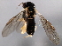  ( - 10BBHYM-1209)  @12 [ ] CreativeCommons - Attribution (2010) CBG Photography Group Centre for Biodiversity Genomics