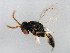  ( - 10BBHYM-1759)  @11 [ ] CreativeCommons - Attribution (2010) CBG Photography Group Centre for Biodiversity Genomics