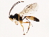  ( - 10BBCHY-1045)  @14 [ ] CreativeCommons - Attribution (2010) CBG Photography Group Centre for Biodiversity Genomics