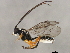  ( - 10BBCHY-1047)  @13 [ ] CreativeCommons - Attribution (2010) CBG Photography Group Centre for Biodiversity Genomics