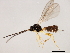  ( - 10BBCHY-1072)  @13 [ ] CreativeCommons - Attribution (2010) CBG Photography Group Centre for Biodiversity Genomics