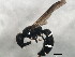  ( - 10BBCHY-1315)  @13 [ ] CreativeCommons - Attribution (2010) CBG Photography Group Centre for Biodiversity Genomics