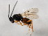  ( - 10BBCHY-1683)  @13 [ ] CreativeCommons - Attribution (2010) CBG Photography Group Centre for Biodiversity Genomics
