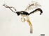  ( - 10BBCHY-1798)  @12 [ ] CreativeCommons - Attribution (2010) CBG Photography Group Centre for Biodiversity Genomics