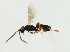  ( - 10BBCHY-1898)  @13 [ ] CreativeCommons - Attribution (2010) CBG Photography Group Centre for Biodiversity Genomics
