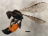  ( - 10BBCHY-1937)  @13 [ ] CreativeCommons - Attribution (2010) CBG Photography Group Centre for Biodiversity Genomics
