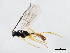  ( - 10BBCHY-2323)  @13 [ ] CreativeCommons - Attribution (2010) CBG Photography Group Centre for Biodiversity Genomics