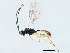  ( - 10BBCHY-2358)  @12 [ ] CreativeCommons - Attribution (2010) CBG Photography Group Centre for Biodiversity Genomics