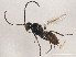  ( - 10BBCHY-2908)  @12 [ ] CreativeCommons - Attribution (2010) CBG Photography Group Centre for Biodiversity Genomics