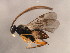  ( - 10BBCHY-3156)  @12 [ ] CreativeCommons - Attribution (2011) CBG Photography Group Centre for Biodiversity Genomics
