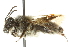  ( - 10BBCHY-3278)  @12 [ ] CreativeCommons - Attribution (2011) CBG Photography Group Centre for Biodiversity Genomics