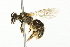  ( - 10BBCHY-3328)  @14 [ ] CreativeCommons - Attribution (2011) CBG Photography Group Centre for Biodiversity Genomics