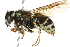  ( - 10BBCHY-3378)  @14 [ ] CreativeCommons - Attribution (2011) CBG Photography Group Centre for Biodiversity Genomics
