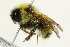  ( - 10BBCHY-3220)  @15 [ ] CreativeCommons - Attribution (2011) CBG Photography Group Centre for Biodiversity Genomics