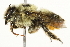  ( - 10BBCHY-3250)  @14 [ ] CreativeCommons - Attribution (2011) CBG Photography Group Centre for Biodiversity Genomics