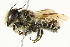  ( - 10BBCHY-3256)  @14 [ ] CreativeCommons - Attribution (2011) CBG Photography Group Centre for Biodiversity Genomics