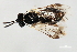  ( - 08OEC-129)  @13 [ ] CreativeCommons - Attribution (2010) Unspecified Centre for Biodiversity Genomics