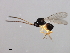  ( - 08BBHYM-1072)  @13 [ ] CreativeCommons - Attribution (2009) Unspecified Centre for Biodiversity Genomics