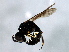  ( - 08BBHYM-1259)  @12 [ ] CreativeCommons - Attribution (2009) Unspecified Centre for Biodiversity Genomics