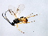  ( - 08BBHYM-1270)  @12 [ ] CreativeCommons - Attribution (2009) Unspecified Centre for Biodiversity Genomics