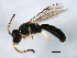  ( - 08BBHYM-1276)  @14 [ ] CreativeCommons - Attribution (2009) Unspecified Centre for Biodiversity Genomics