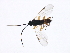  ( - 08BBHYM-1355)  @12 [ ] CreativeCommons - Attribution (2009) Unspecified Centre for Biodiversity Genomics