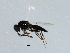  ( - 08BBHYM-1400)  @12 [ ] CreativeCommons - Attribution (2009) Unspecified Centre for Biodiversity Genomics