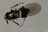  ( - 08BBHYM-1471)  @12 [ ] CreativeCommons - Attribution (2009) Unspecified Centre for Biodiversity Genomics