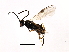  ( - 08BBHYM-1488)  @13 [ ] CreativeCommons - Attribution (2009) Unspecified Centre for Biodiversity Genomics