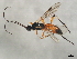  ( - 08BBHYM-1667)  @13 [ ] CreativeCommons - Attribution (2010) Unspecified Centre for Biodiversity Genomics
