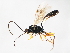  ( - 08BBHYM-1669)  @12 [ ] CreativeCommons - Attribution (2010) Unspecified Centre for Biodiversity Genomics