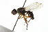  ( - PCPP10-0857)  @13 [ ] CreativeCommons - Attribution (2011) CBG Photography Group Centre for Biodiversity Genomics