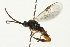  ( - PCPP10-0759)  @12 [ ] CreativeCommons - Attribution (2011) CBG Photography Group Centre for Biodiversity Genomics