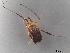  (Homalenotus coriaceus - BGE_00577_F07)  @11 [ ] Creative Commons Attribution NonCommercial ShareAlike (2024) (2024) Research Center in Biodiversity and Genetic Resources Research Center in Biodiversity and Genetic Resources