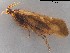  ( - BGE_00577_H08)  @11 [ ] Creative Commons Attribution NonCommercial ShareAlike (2024) (2024) Research Center in Biodiversity and Genetic Resources Research Center in Biodiversity and Genetic Resources