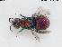  ( - BGE_00094_A01)  @11 [ ] CreativeCommons  Attribution Non-Commercial Share-Alike (2024) Paolo Rosa University of Mons