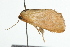  ( - 09BBLEP-04558)  @12 [ ] CreativeCommons - Attribution (2009) Unspecified Centre for Biodiversity Genomics