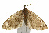  ( - 09BBLEP-04600)  @14 [ ] CreativeCommons - Attribution (2009) Unspecified Centre for Biodiversity Genomics