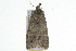  ( - 09BBLEP-04608)  @13 [ ] CreativeCommons - Attribution (2009) Unspecified Centre for Biodiversity Genomics