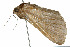  ( - 09BBLEP-04677)  @12 [ ] CreativeCommons - Attribution (2009) Unspecified Centre for Biodiversity Genomics