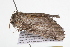  ( - 09BBLEP-04693)  @12 [ ] CreativeCommons - Attribution (2009) Unspecified Centre for Biodiversity Genomics