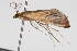  ( - 09BBLEP-04699)  @12 [ ] CreativeCommons - Attribution (2009) Unspecified Centre for Biodiversity Genomics